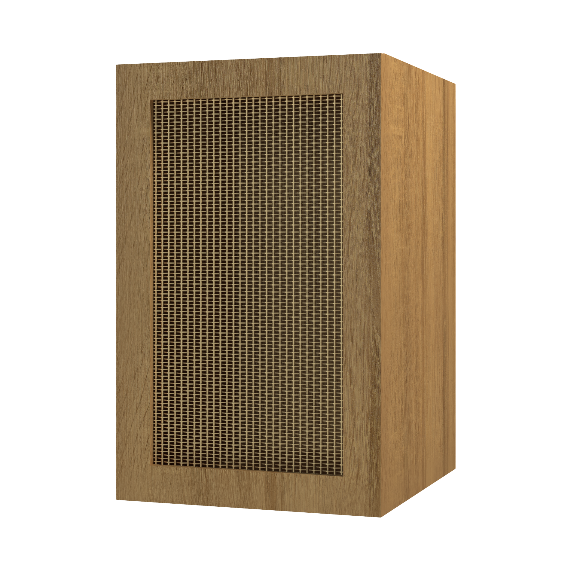 18" Deep Cabinet - Wood Frame Metal Mesh Door with Shelves