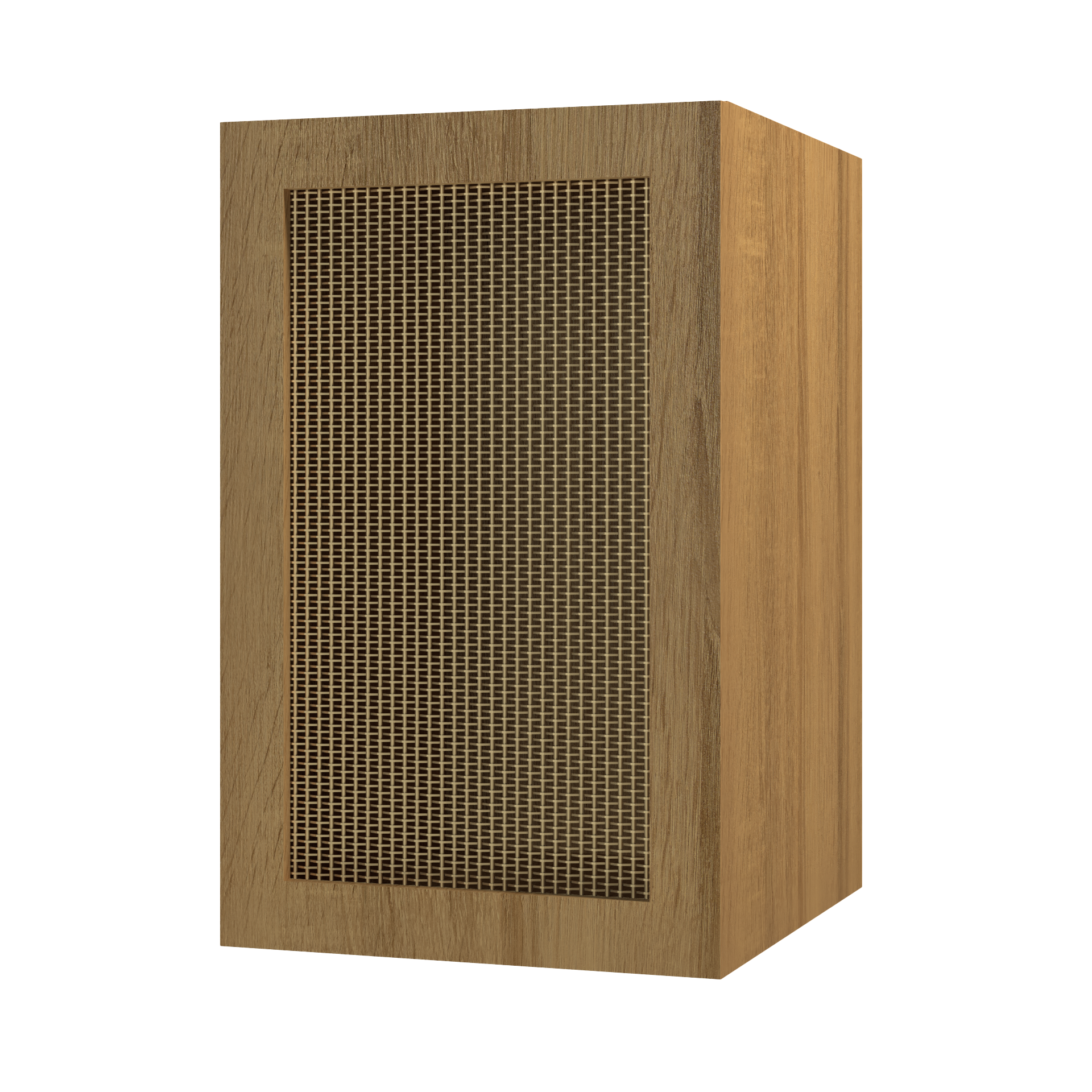 12" Deep Cabinet - Wood Framed Metal Mesh Door with Shelves